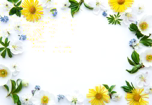 Flat lay frame with spring flowers, leaves and petals photo