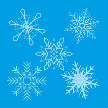 five snowflakes winter icons vector