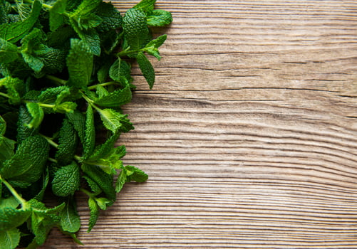 Fresh mint leaves on  old wooden background photo