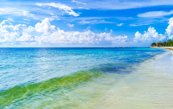 Tropical mexican beach panorama Playa 88 Playa del Carmen Mexico. photo