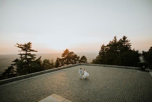 High angle view at young newlywed couple with their Jack Russel Terrier dog photo