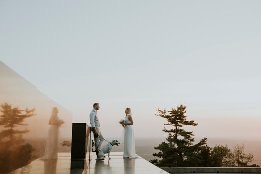 Young newlywed couple with their Jack Russel Terrier dog photo