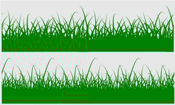 vector green grass isolated on white background