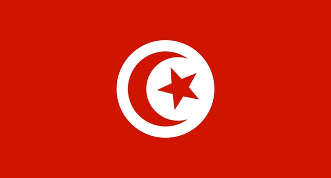 Tunis flag. Tunis flag vector