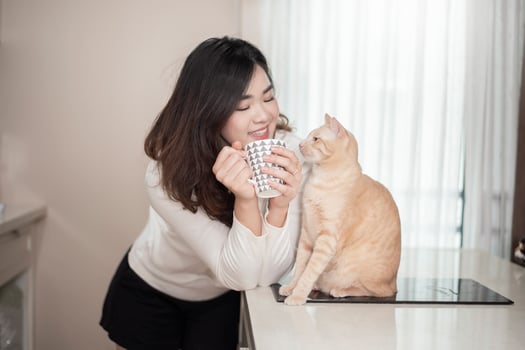 Beautiful asian  cat lover woman is playing with cat in her room photo