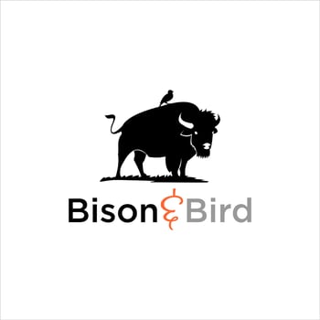 Wild American Buffalo Illustration vector