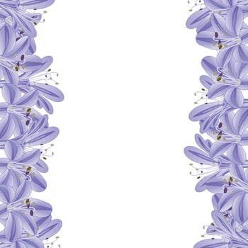 Blue Purple Agapanthus Border vector