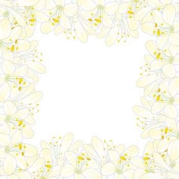 Snow White Agapanthus Border vector