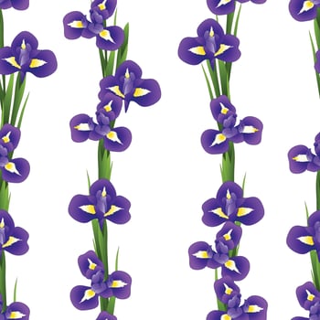 Iris Flower Seamless on White Background vector