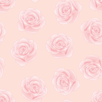 Pink Rose - Rosa on Pink Background. vector