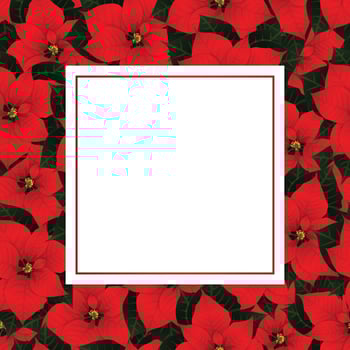 Red Poinsettia Christmas Banner Card vector