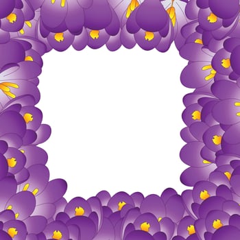 Purple Crocus Flower Border. vector
