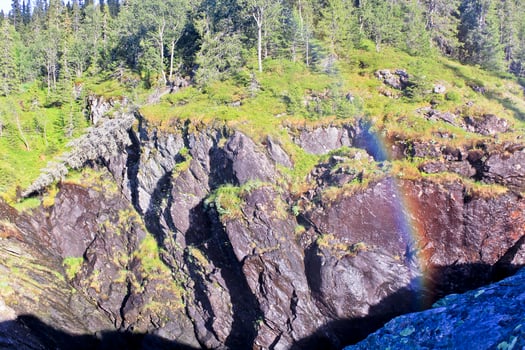 Fallen dead broken tree beside rainbow Rjukandefossen waterfall. photo