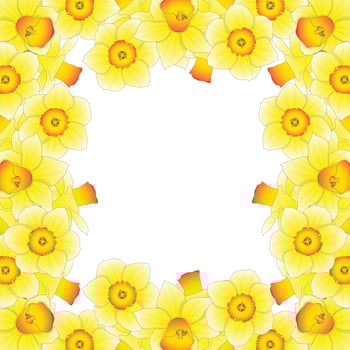 Yellow Daffodil - Narcissus Border on White Background. vector