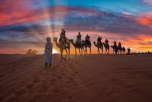 Bedouin leads caravan of camels with tourists through the sand in desert photo