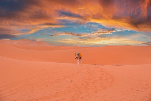 Caravan camel standing on dunes in desert against cloudy sky during sunset photo