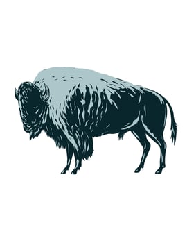 American Bison or American Buffalo Side View WPA Poster Art vector