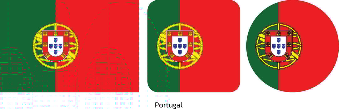 Portugal flag, vector illustration