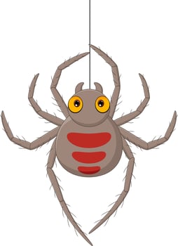 Cartoon spider hanging on a web vector
