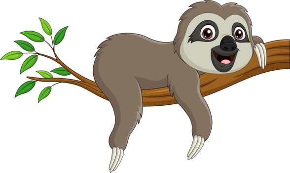 Cute baby sloth on tree branch vector