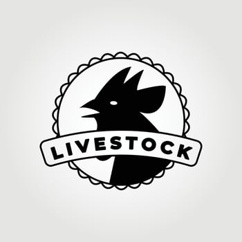 livestock logo , rooster vector,  illustration vintage design graphic vector