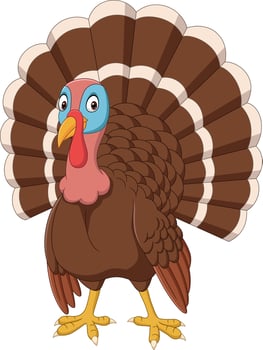 Cartoon turkey on white background vector