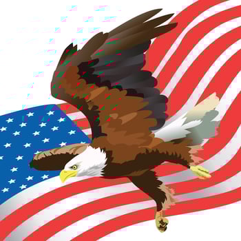 eagle usa flying illustration vector