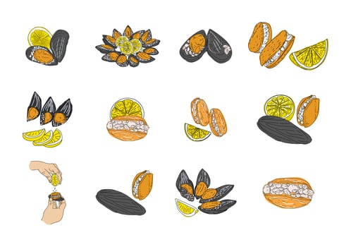 Street food. Stuffed mussels. vector