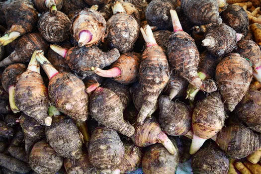 Pile of fresh taro roots background  Yautia Lila Satoimo potatoes photo