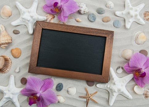 Seashells and starfish border photo