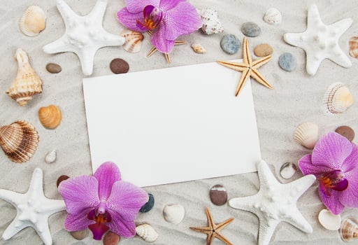 Seashells and starfish border photo