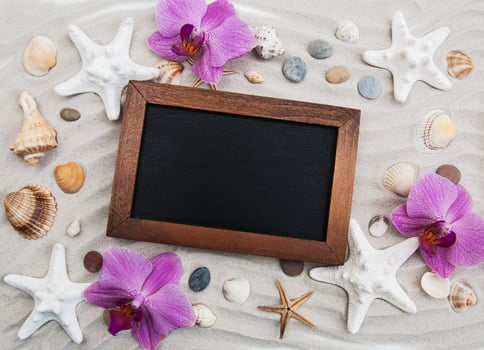 Seashells and starfish border photo