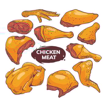 chicken meat set illustration vector