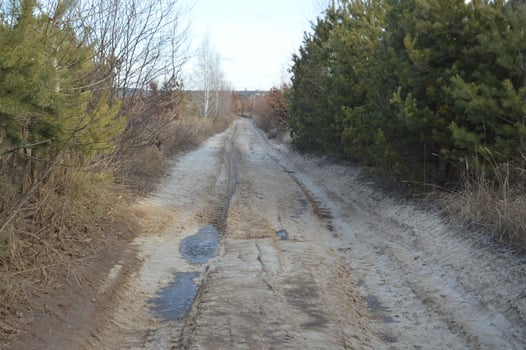 Forest frozen road with ice and snow photo