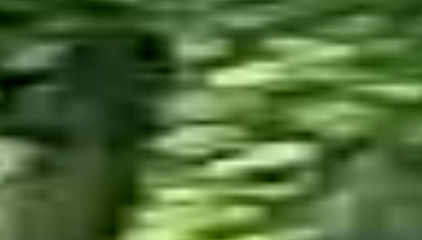 abstract green blur background photo