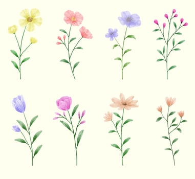 A set of flowers painted in watercolor for designer work create vector