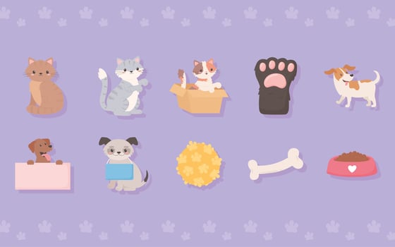 adoption pets and toys vector