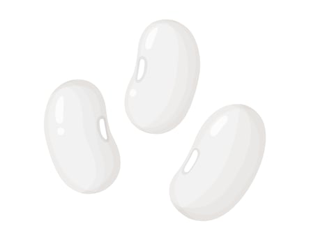 Kidney beans. White beans in cartoon style. Healthy vegetarian food illustration. vector