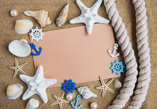 Shells, seastars and an blank postcard photo