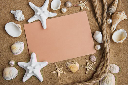 Shells, seastars and an blank postcard photo