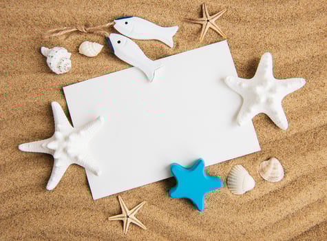 Shells, seastars and an blank postcard photo