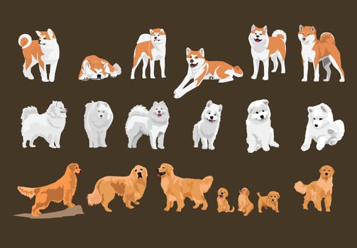 dog and puppies illustration vector