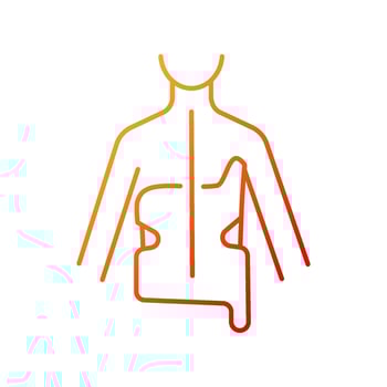 Scoliosis brace gradient linear vector icon. Spine curve correction. Spinal deformation prevention. Backbone orthosis. Thin line color symbol. Modern style pictogram. Vector isolated outline drawing