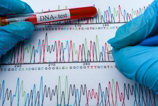 DNA molecule forming inside the vial in for blood analysis.3D rendering, conceptual images. photo