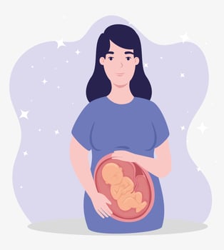 young woman pregnant vector