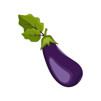 Purple eggplant icon. Whole healthy vegetables and green leaves, harvesting. Delicious food for salad and cooking. Vector flat illustration