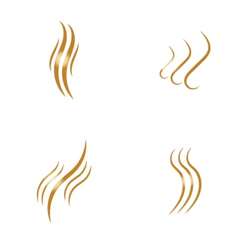 hair wave woman logo vector illustration design