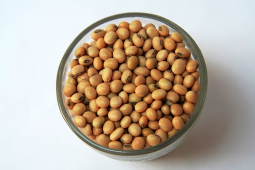 Light brown grains of soya bean photo