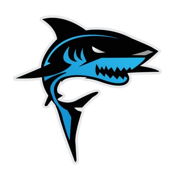 Shark Design Illustration vector