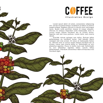 coffee artwork for poster design vector